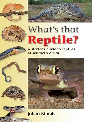 cover image of What's that Reptile?